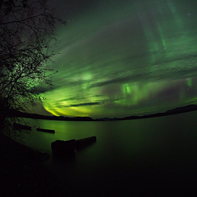 Arctic Day: Aurora Borealis Viewing | evening (Oct 1, 2016)