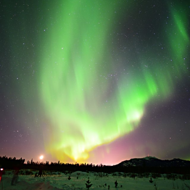 Arctic Day: Aurora Borealis Viewing | evening (Mar 3, 2017)