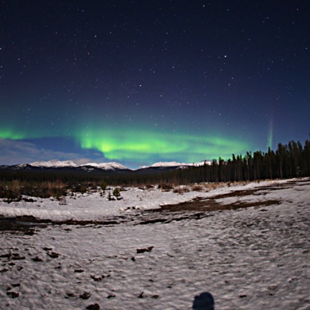 Arctic Day: Aurora Borealis Viewing | evening (Apr 5, 2017)