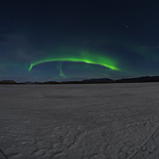 Arctic Day: Aurora Borealis Viewing | evening (Apr 10, 2017)