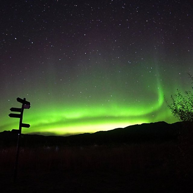 Arctic Day: Aurora Borealis Viewing | evening (Sep 15, 2018)