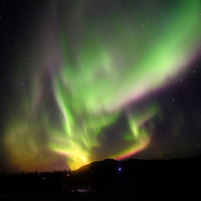 Arctic Day: Aurora Borealis Viewing | evening (Oct 8, 2018)