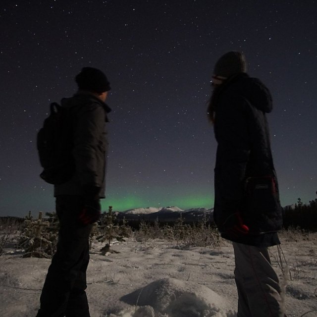 Arctic Day: Aurora Borealis Viewing | evening (Nov 18, 2019)