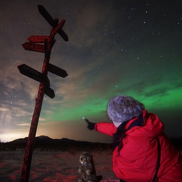 Arctic Day: Aurora Borealis Viewing | evening (Nov 24, 2019)