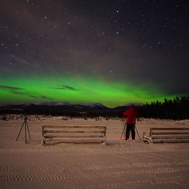 Arctic Day: Aurora Borealis Viewing | evening (Jan 24, 2020)