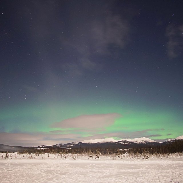 Arctic Day: Aurora Borealis Viewing | evening (Feb 6, 2020)