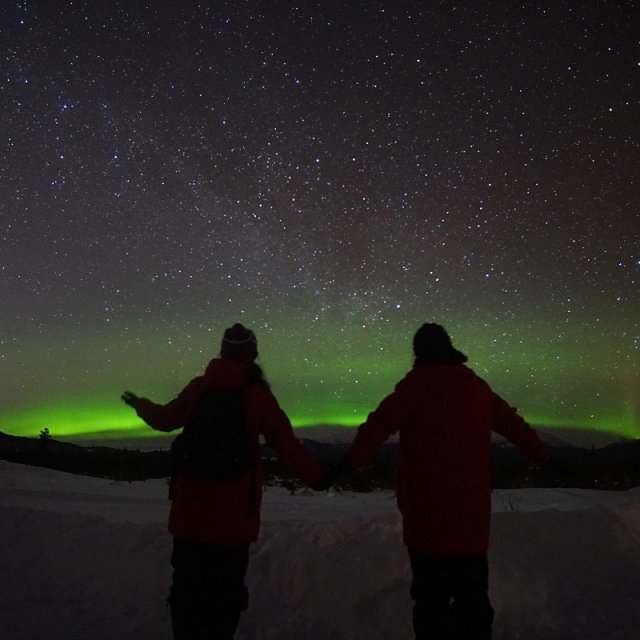 Arctic Day: Aurora Borealis Viewing | evening (Feb 16, 2020)