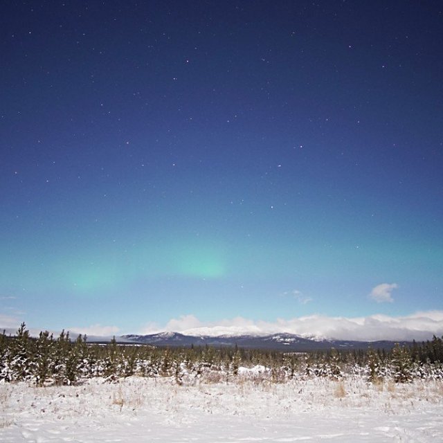 Arctic Day: Aurora Viewing | evening (Nov 17, 2021)
