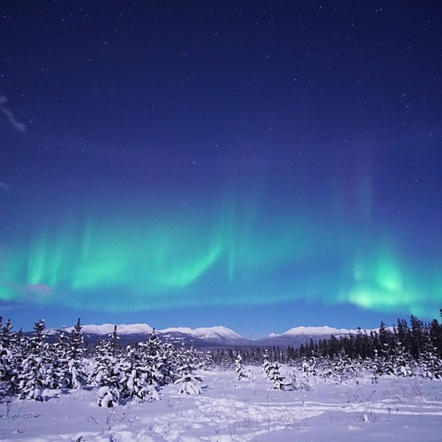 Arctic Day: Aurora Borealis Viewing | evening (Dec 13, 2021)