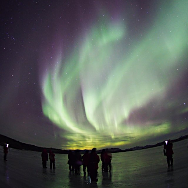 Arctic Day: Aurora Borealis Viewing | evening (Feb 16, 2017)