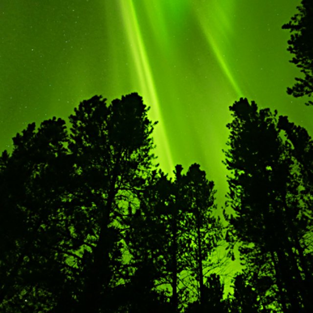 Arctic Day: Aurora Borealis Viewing | evening (Feb 17, 2017)