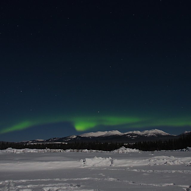 Arctic Day: Aurora Borealis Viewing | evening (Feb 3, 2015)