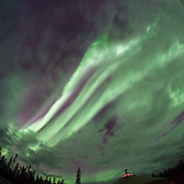 Arctic Day: Aurora Borealis Viewing | evening (August 26, 2014)