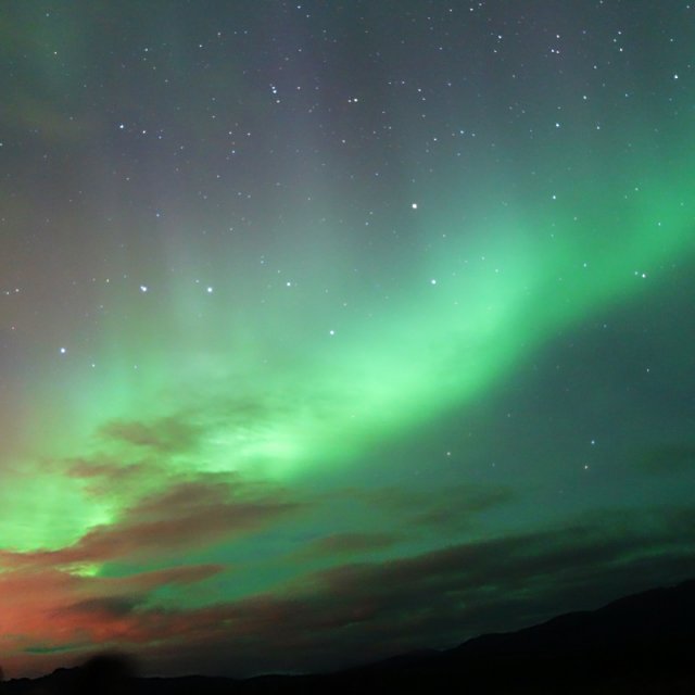 Arctic Day: Aurora Borealis Viewing | evening (August 29, 2014)