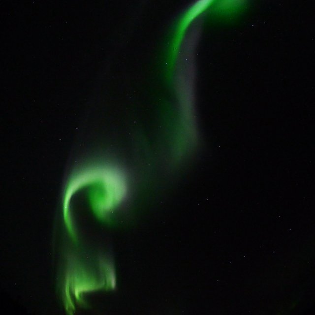 Arctic Day: Aurora Viewing | evening (September 23, 2014)