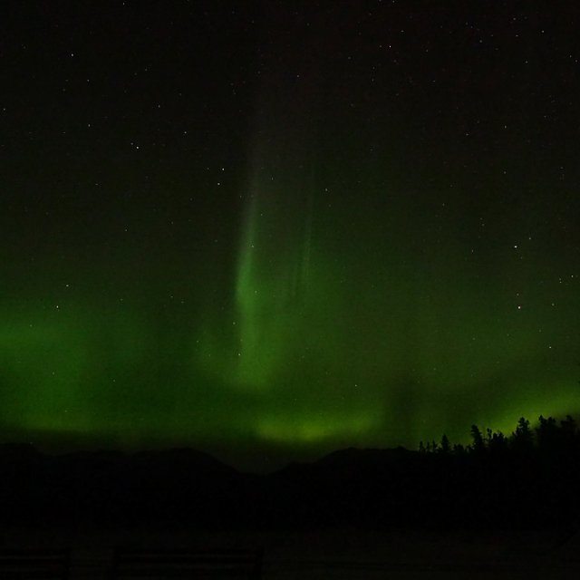 Arctic Day: Aurora Borealis Viewing | evening (October 1, 2014)