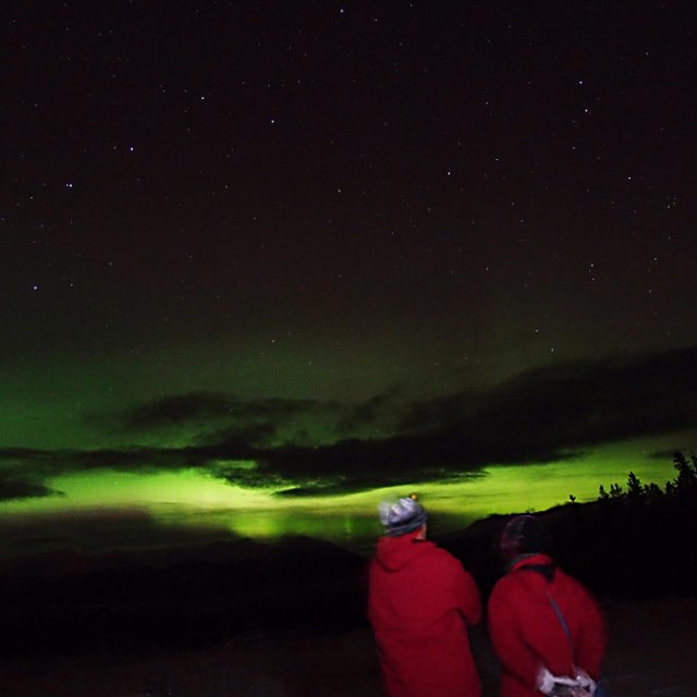 Arctic Day: Aurora Borealis Viewing | evening (Nov 23, 2014)