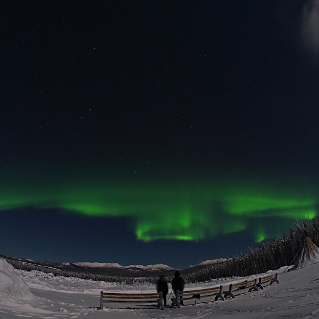 Arctic Day: Aurora Borealis Viewing | evening (Jan 2, 2014)