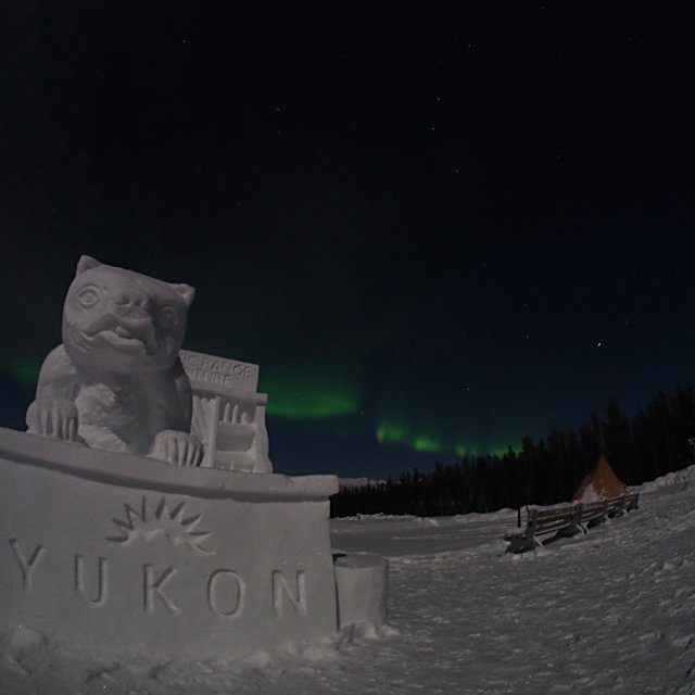 Arctic Day: Aurora Borealis Viewing | evening (Jan 30, 2015)