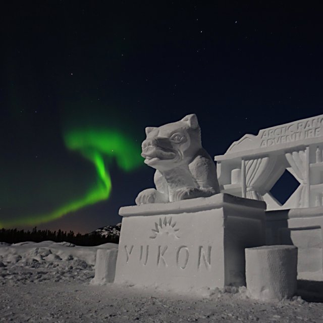 Arctic Day: Aurora Viewing | evening (Feb 1, 2015)