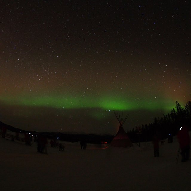 Arctic Day: Aurora Borealis Viewing | evening (Feb 21, 2015)