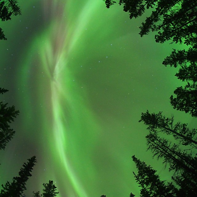 Arctic Day: Aurora Borealis Viewing | evening (Feb 22, 2015)