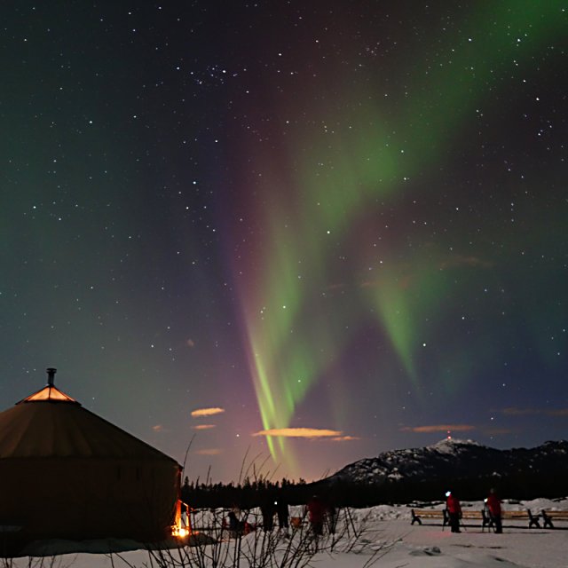 Arctic Day: Aurora Borealis Viewing | evening (Mar 27, 2015)