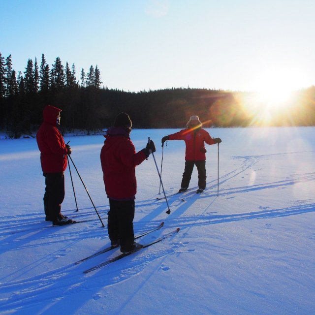 Arctic Day: Cross Country Ski Tour | half day (Jan 9, 2020)