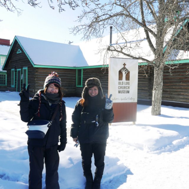 Arctic Day: Wilderness City Tour | half day (Mar 11, 2017)