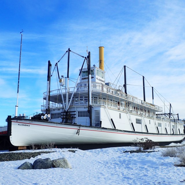 Arctic Day: Wilderness City Tour | half day (Mar 15, 2016)