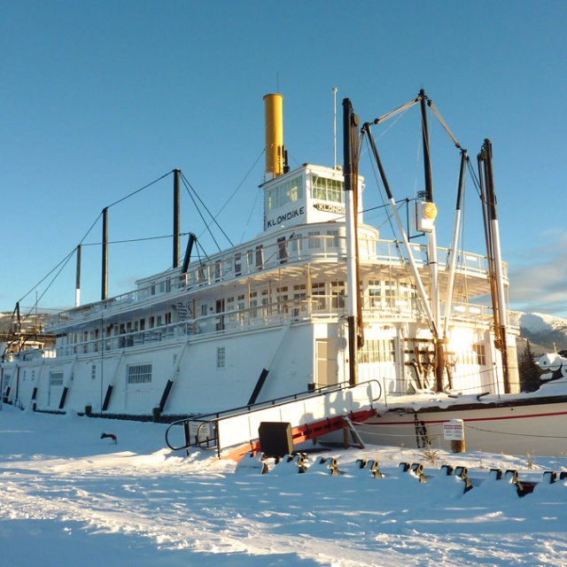 Arctic Day: Wilderness City Tour | half day (Dec 21, 2013)