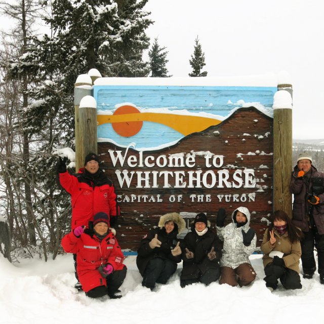 Arctic Day: Wilderness City Tour | half day (Dec 28, 2013)