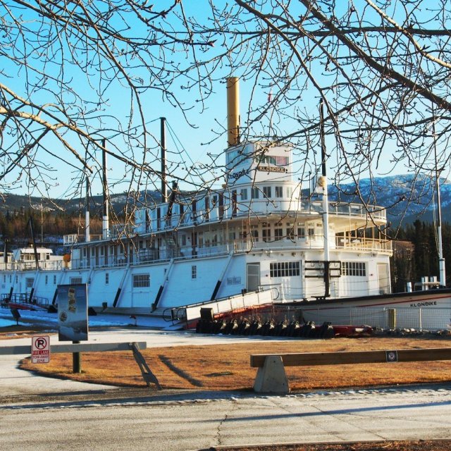 Arctic Day: Wilderness City Tour | half day (Nov 21, 2018)