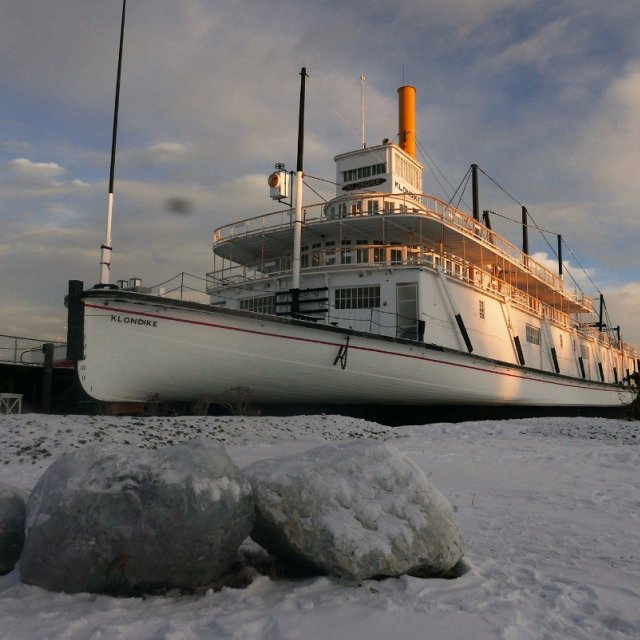 Arctic Day: Wilderness City Tour | half day (Dec 28, 2018)