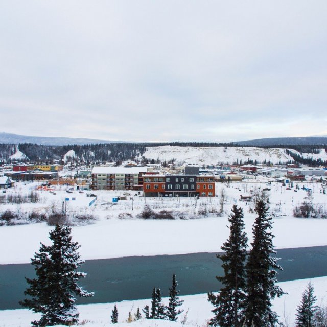 Arctic Day: Wilderness City Tour | half day (Jan 20, 2019)