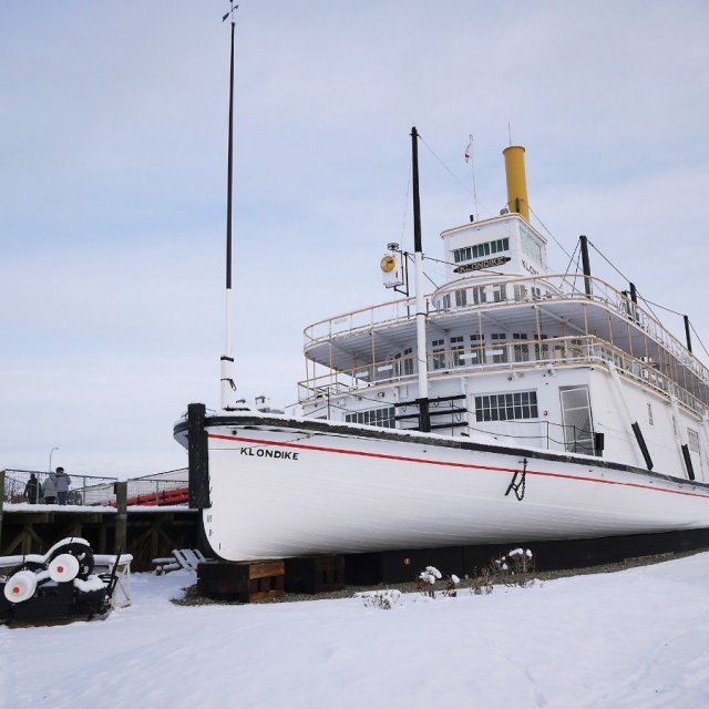 Arctic Day: Wilderness City Tour | half day (Nov 16, 2018)