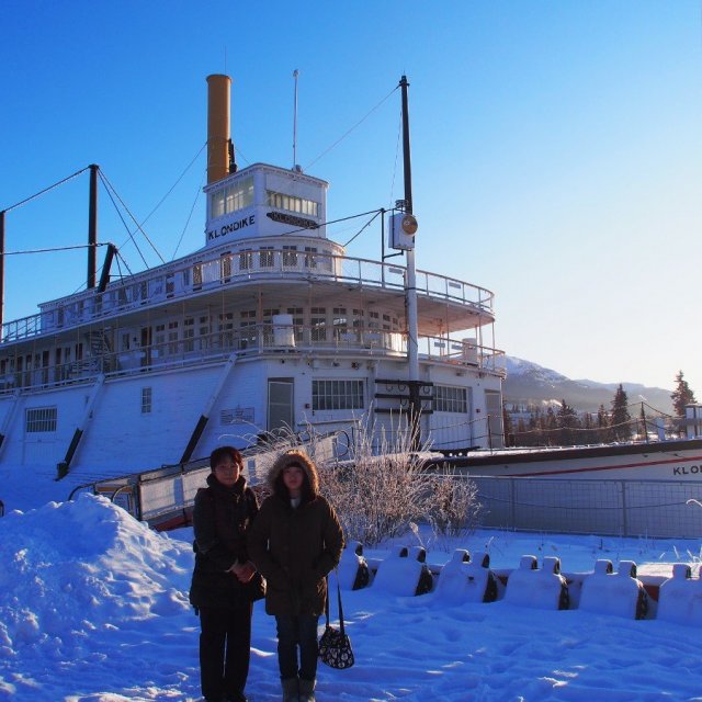 Arctic Day: Wilderness City Tour | half day (Jan 31, 2020)