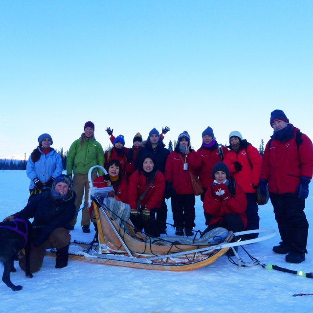 Arctic Day: Dog Sledding | half day (January 2, 2013)