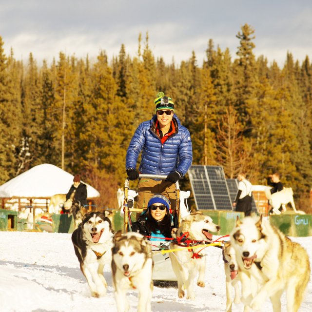 Arctic Day: Dog Sledding | half day (Feb 11, 2013)