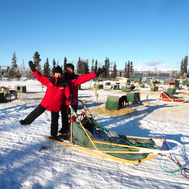 Arctic Day: Dog Sledding | half day (Feb 02, 2014)