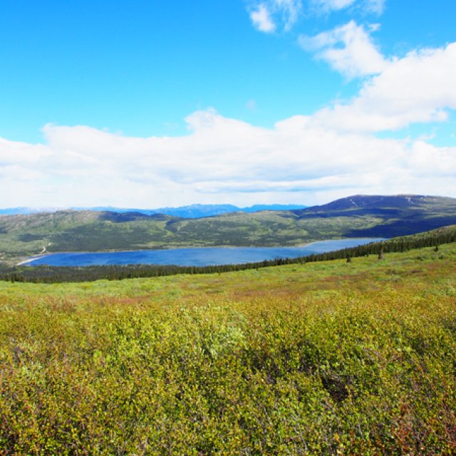 Arctic Day: Hiking Tour | full day (Jun 6, 2016)