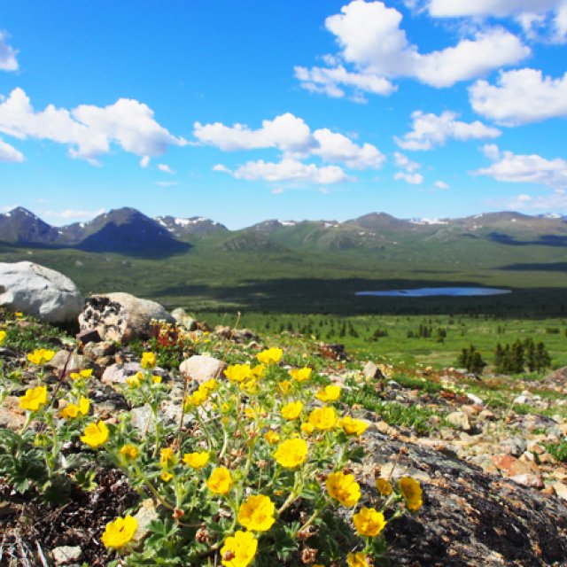 Arctic Day: Hiking Tour | full day (Jun 17, 2016)