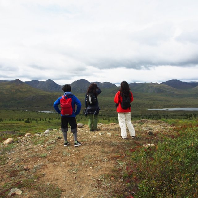 Arctic Day: Hiking Tour | full day (Aug 16, 2016)