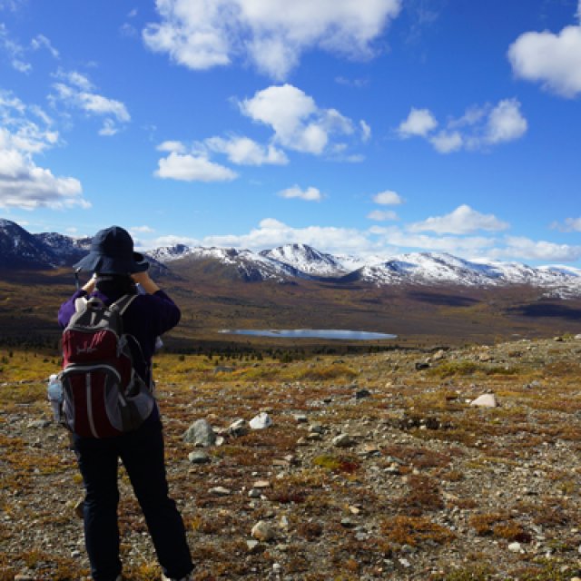 Arctic Day: Hiking Tour | full day (Sep 8, 2015)
