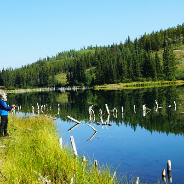 Arctic Day: Fishing Tour | half day (Aug 8, 2015)