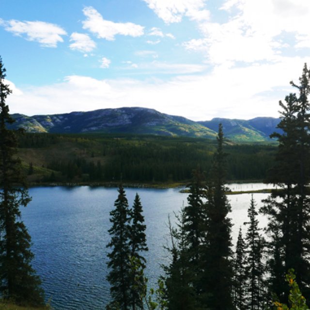 Arctic Day: Fishing Tour | half day (Aug 23, 2016)