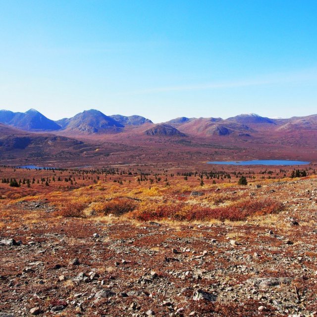 Arctic Day: Hiking Tour | full day (Sep 21, 2018)