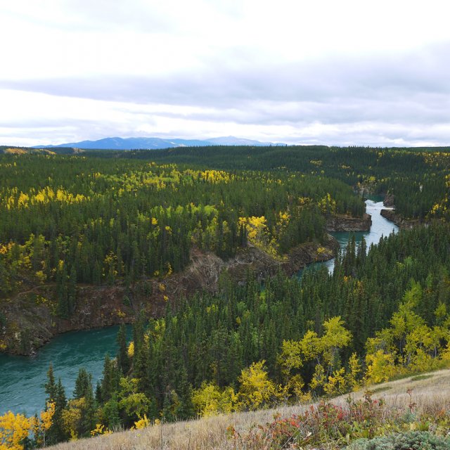 Arctic Day: Hiking Tour | half day (Sep 22, 2013)