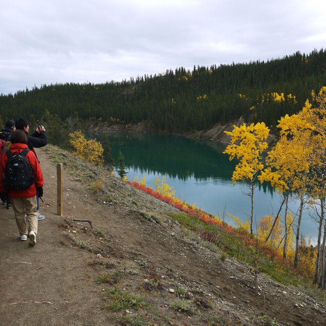 Arctic Day: Hiking Tour | half day (Sep 30, 2013)