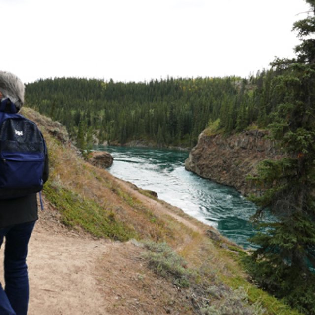 Arctic Day: Hiking Tour | half day (Aug 31, 2017)